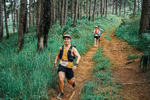 BIB: 
                            <button type="button" onclick="openModal(25661450)" class="btn btn-primary btn-sm float-right btn-popup" data-toggle="modal" data-target=".modal-high-quality">
                        <i class="fas fa-shopping-cart"></i> Add to Cart
                    </button>
                                            <button type="button" onclick="isThisMe(25661450, true)" class="btn btn-success btn-sm float-right btn-popup btn-isme hidden" data-toggle="tooltip" data-placement="bottom" title="นี่คือรูปของคุณใช่ไหม คลิกที่นี่เพื่อเอาเข้าอัลบั้ม">
                        <i class="fas fa-plus"></i> Add to album
                    </button>
                    <button type="button" onclick="isThisMe(25661450, false)" class="btn btn-warning btn-sm float-right btn-popup btn-isnotme hidden">
                        <i class="fas fa-ban"></i> Remove from album
                    </button>